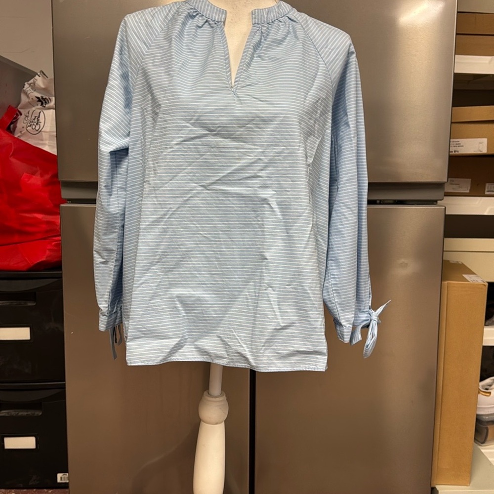 Madewell Blue and White Cuffed Sleeve Blouse